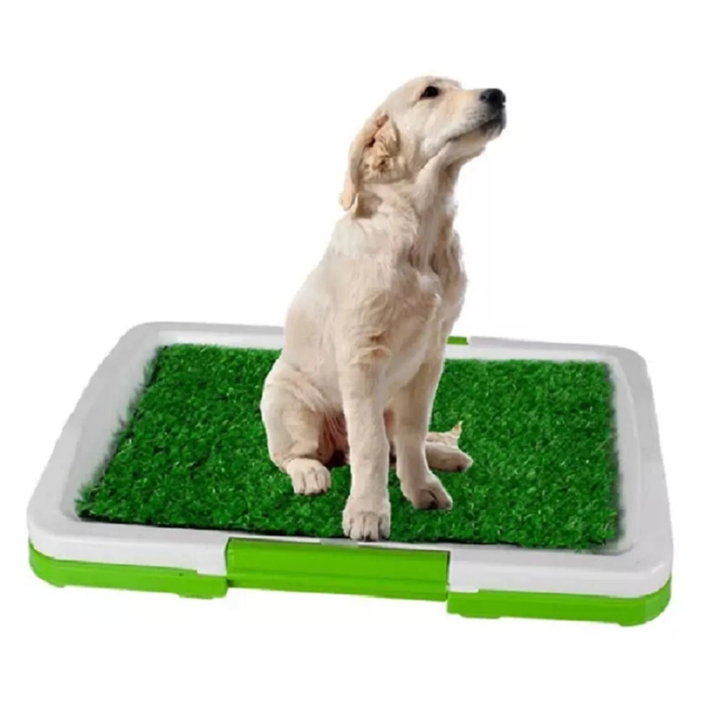 Baño Ecológico para Mascotas