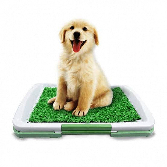 Baño Ecológico para Mascotas