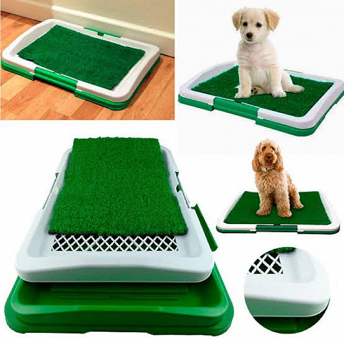 Baño Ecológico para Mascotas