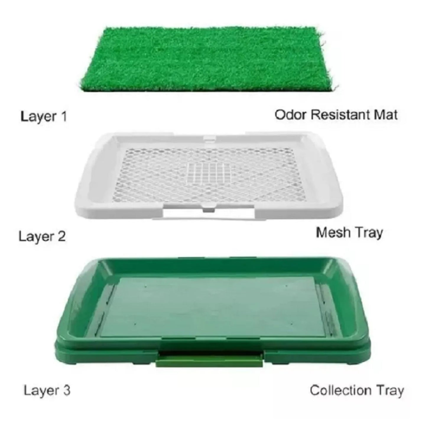 Baño Ecológico para Mascotas