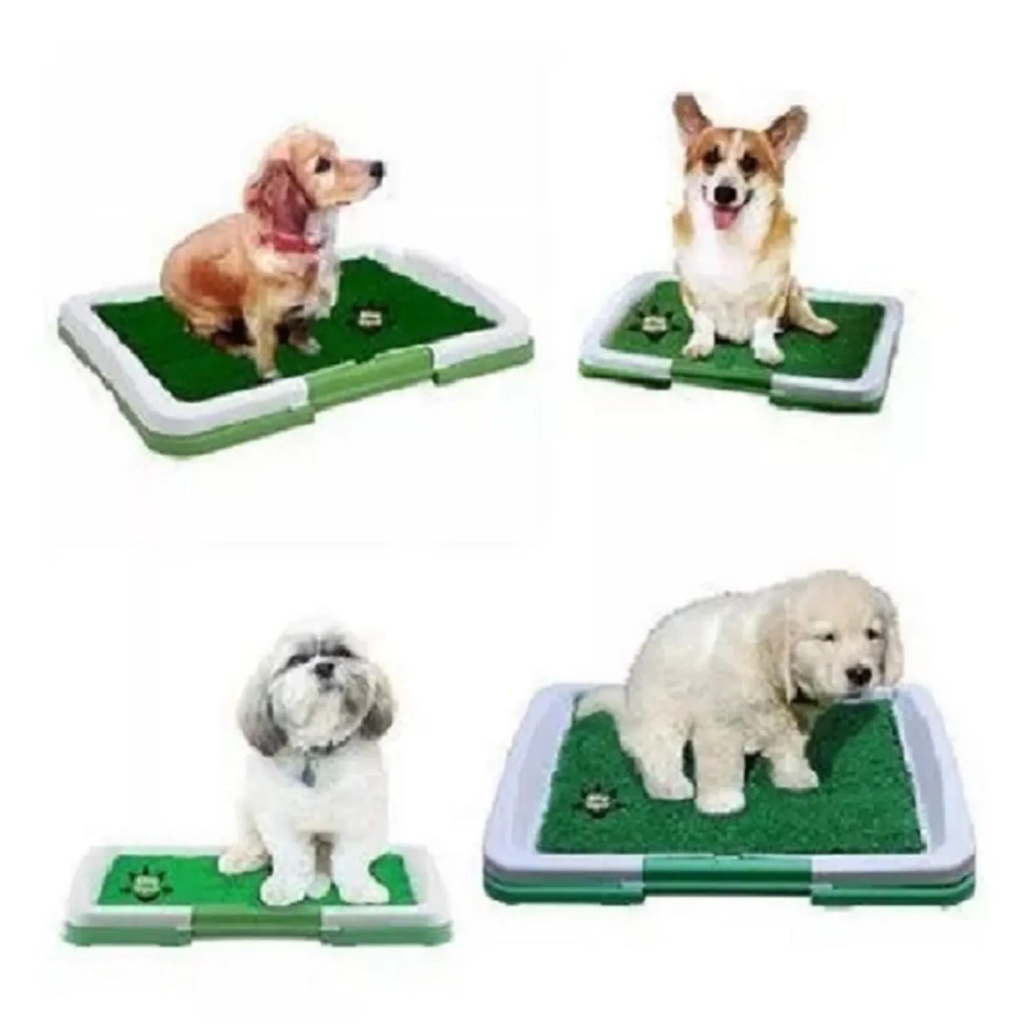 Baño Ecológico para Mascotas