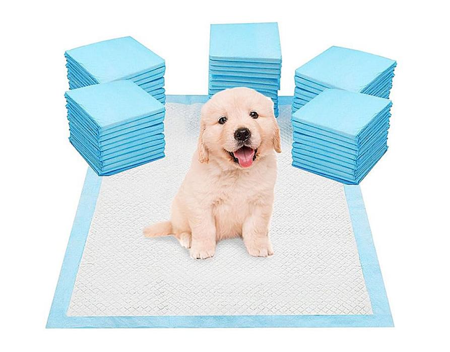 Pañal para Mascota Talla M Y L